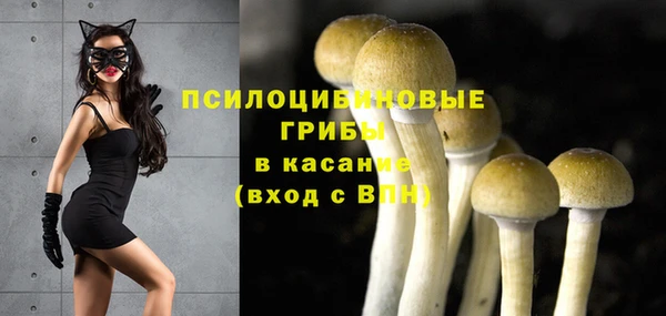 марки nbome Верхний Тагил
