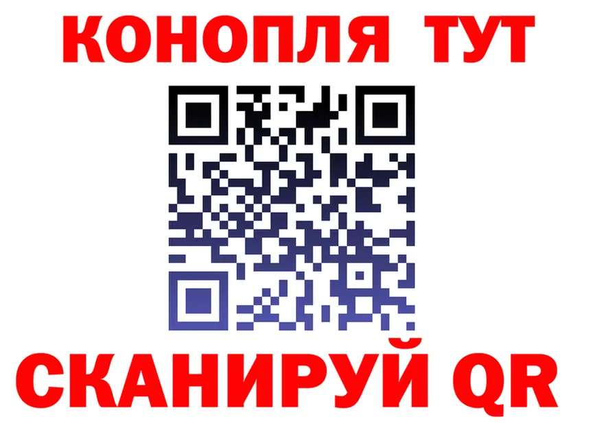 АМФ Premium ТОР маркетплейс omg Дигора