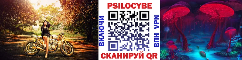Галлюциногенные грибы мицелий  Купить где  Дигора 