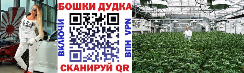 Шишки марихуана гибрид  Купить  Дигора 